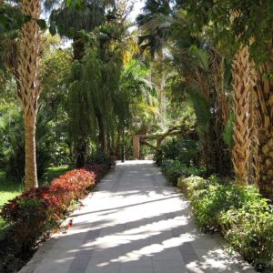 Aswan-Botanical-Garden - Aswan Botanical Garden
