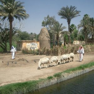 Pharaonic-village - Pharaohnic Village Egypt
